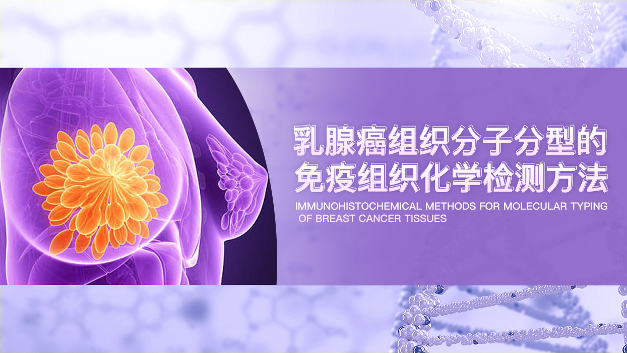 乳腺癌组织分子分型的免疫组织化学检测方法
