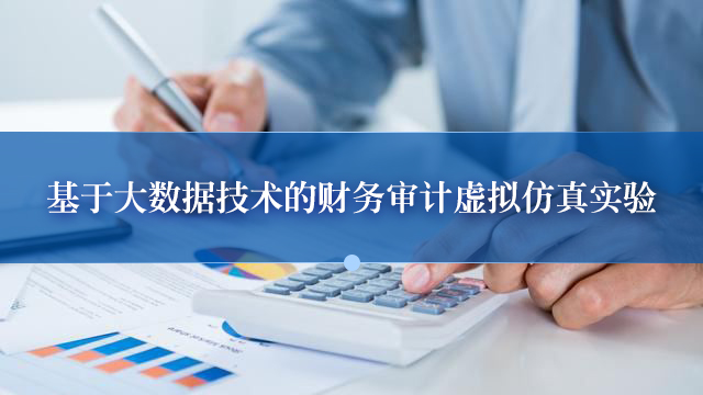 基于大数据技术的财务审计虚拟仿真实验