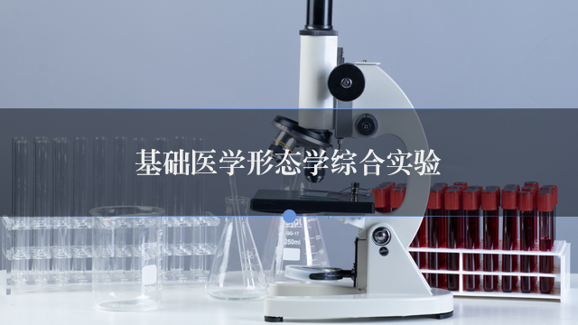 基础医学形态学综合实验