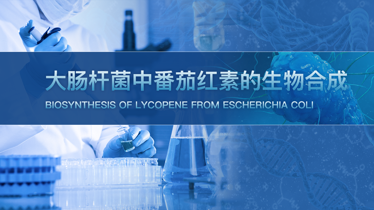 大肠杆菌中番茄红素的生物合成虚拟仿真实验