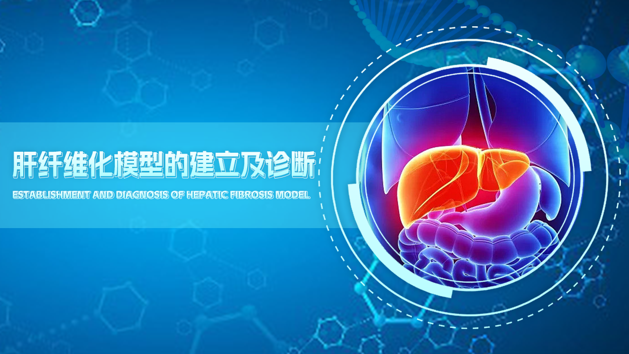 肝纤维化模型构建与诊断虚拟仿真综合实验