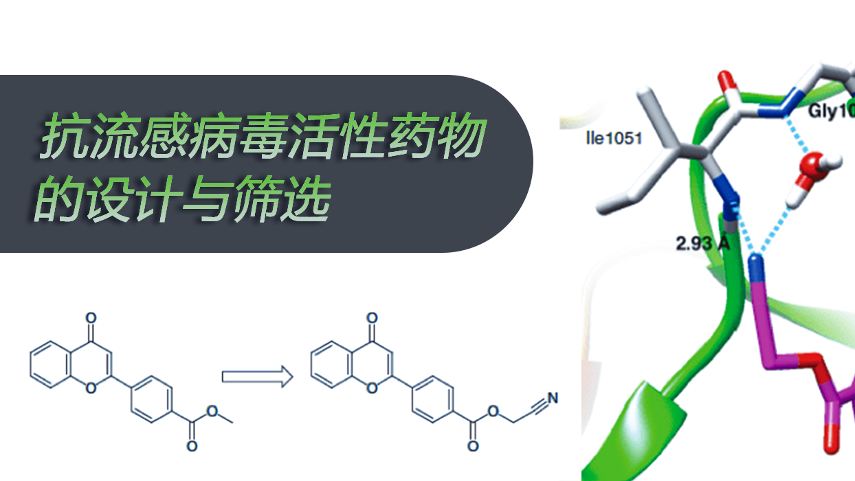 抗流感病毒活性药物的设计与筛选