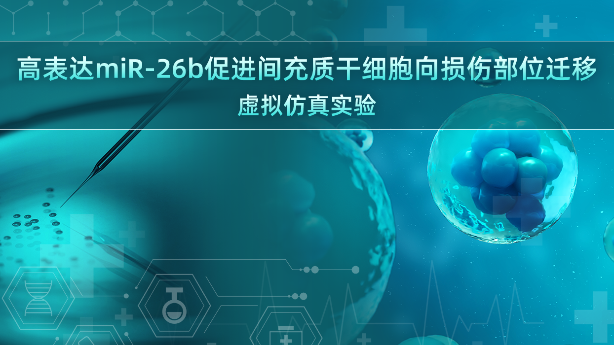 高表达miR-26b促进间充质干细胞向损伤部位迁移