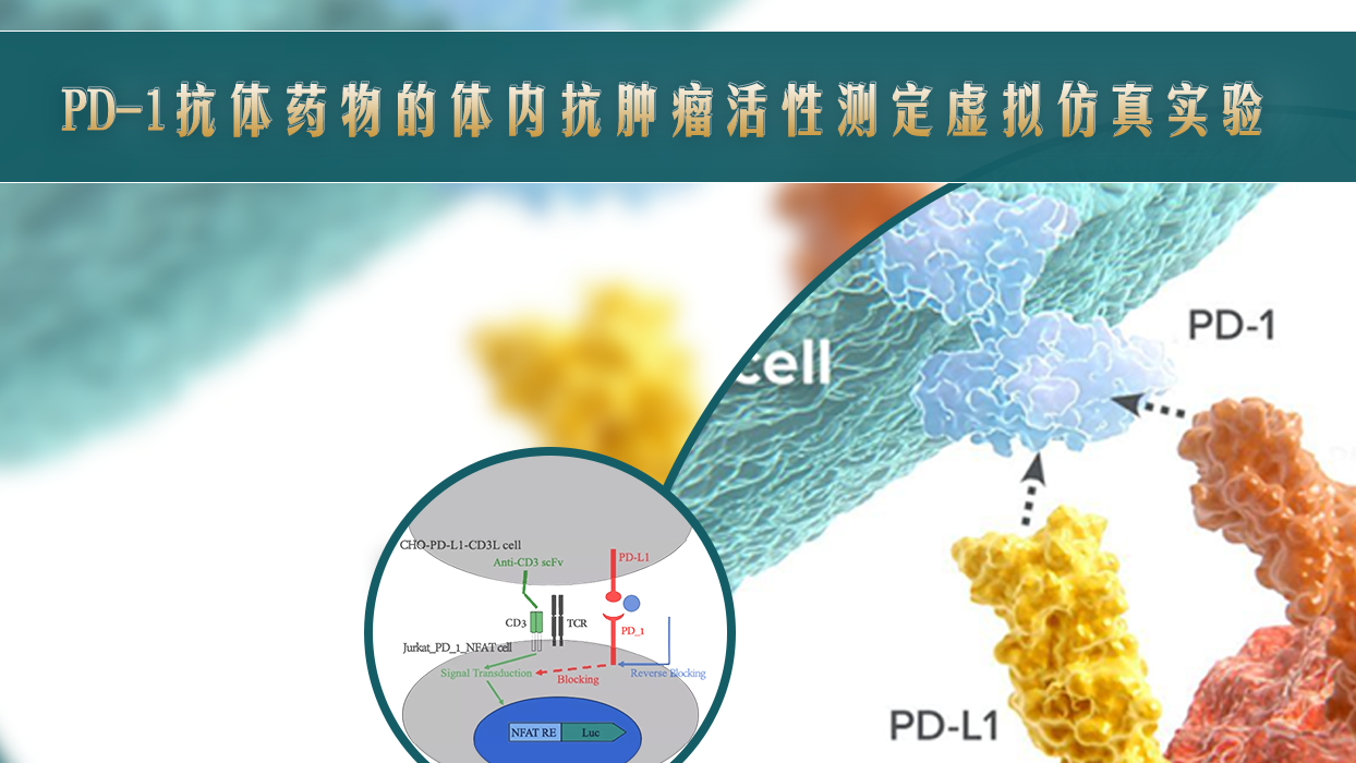 PD-1抗体药物的体内抗肿瘤活性测定虚拟仿真实验